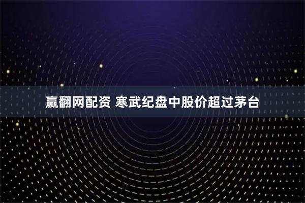赢翻网配资 寒武纪盘中股价超过茅台