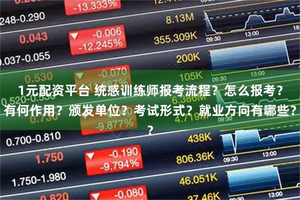 1元配资平台 统感训练师报考流程？怎么报考？有何作用？颁发单位？考试形式？就业方向有哪些？